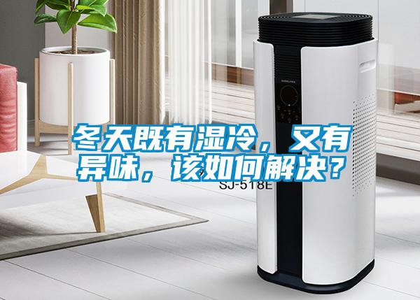 冬天既有湿冷，又有异味，该如何解决？