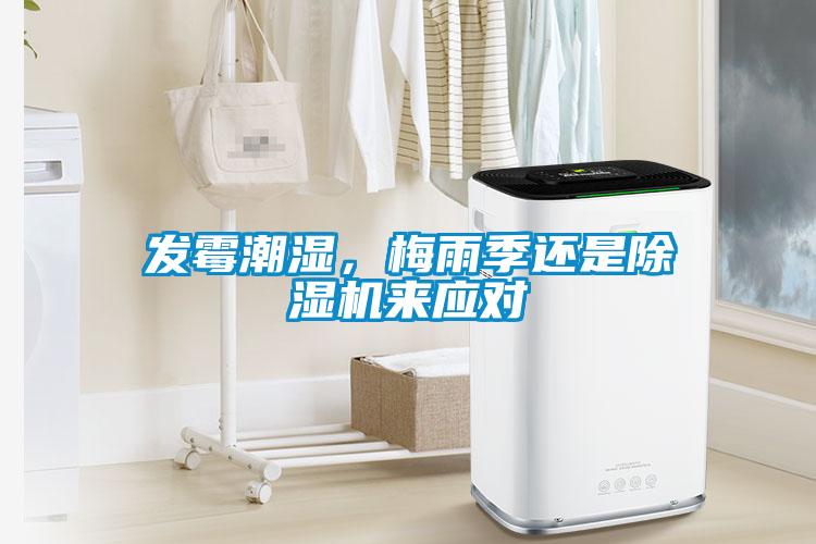 发霉潮湿，梅雨季还是91抖音免费看片来应对