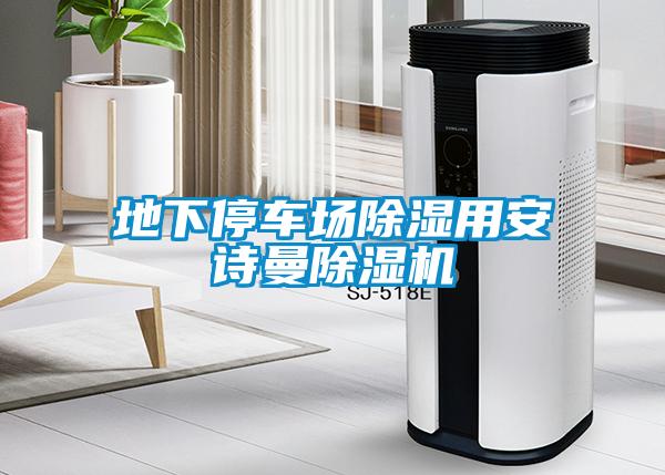 地下停车场除湿用成人抖音在线下载91抖音免费看片