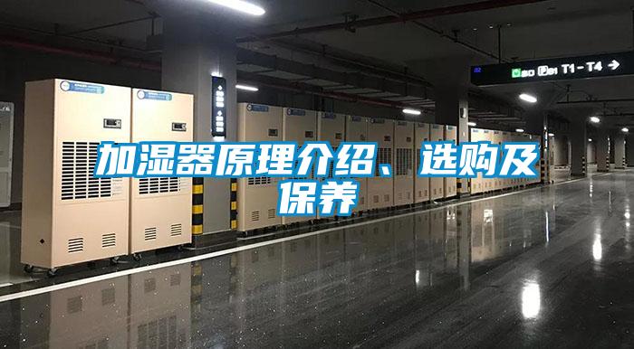 加湿器原理介绍、选购及保养