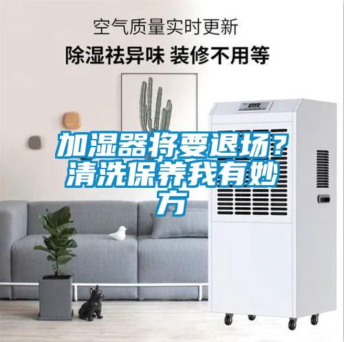 加湿器将要退场？清洗保养我有妙方