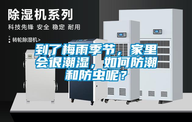 到了梅雨季节，家里会很潮湿，如何防潮和防虫呢？