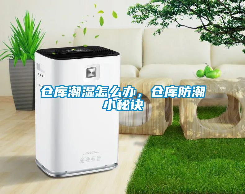 仓库潮湿怎么办，仓库防潮小秘诀