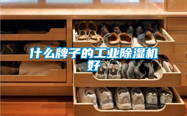 什么牌子的工业91抖音免费看片好