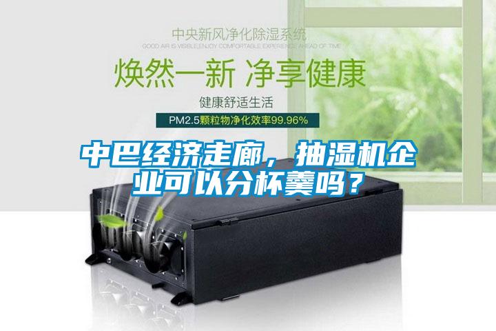中巴经济走廊，抽湿机企业可以分杯羹吗？