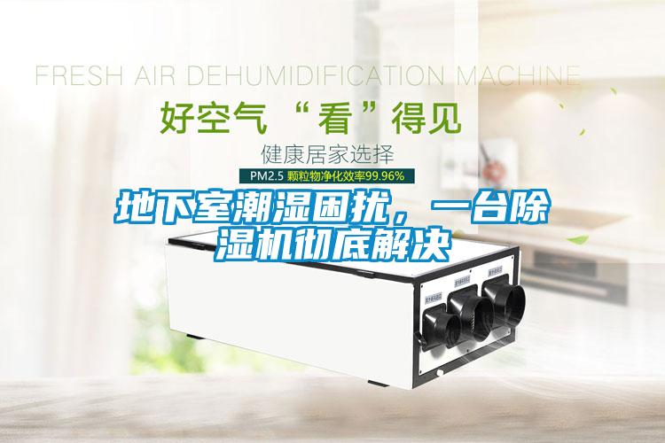 地下室潮湿困扰，一台91抖音免费看片彻底解决