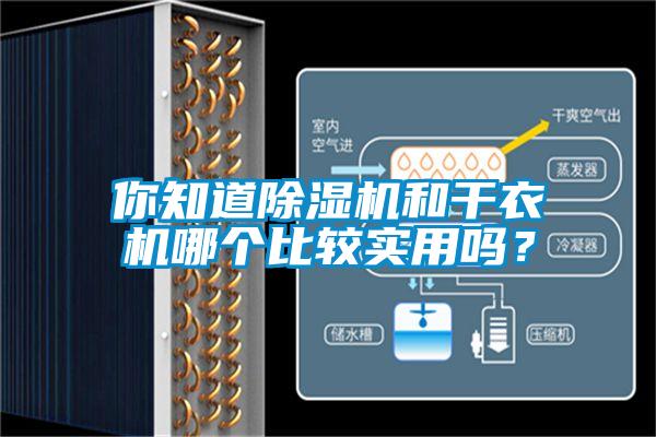 你知道91抖音免费看片和干衣机哪个比较实用吗？
