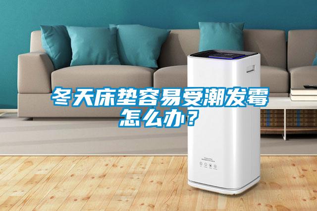 冬天床垫容易受潮发霉怎么办？