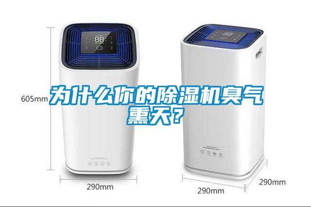为什么你的91抖音免费看片臭气熏天？