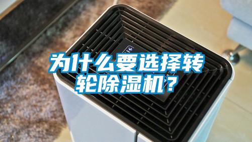 为什么要选择转轮91抖音免费看片？