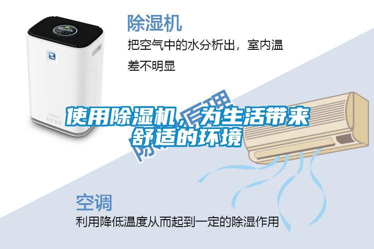 使用91抖音免费看片，为生活带来舒适的环境