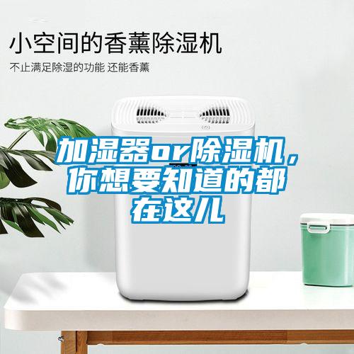 加湿器or91抖音免费看片，你想要知道的都在这儿