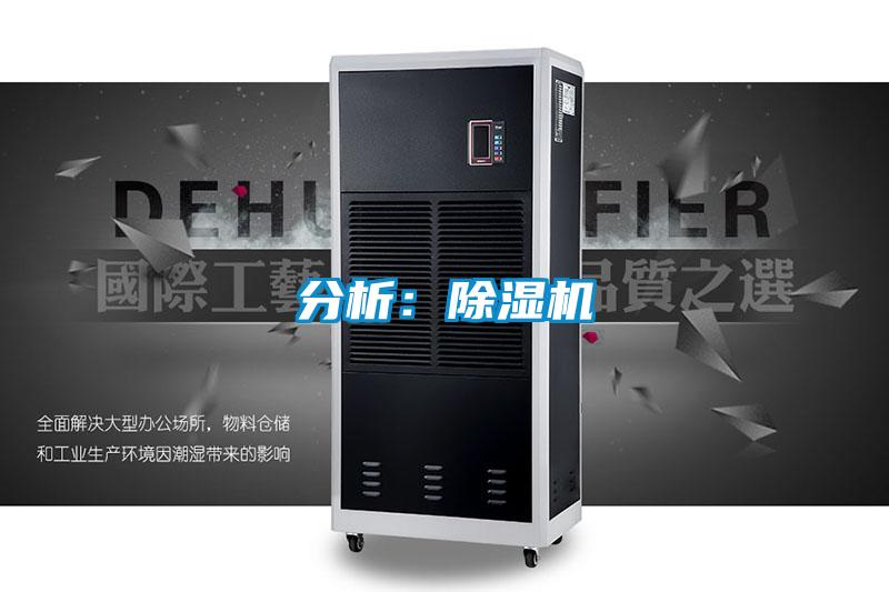 分析：91抖音免费看片