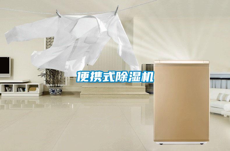 便携式91抖音免费看片