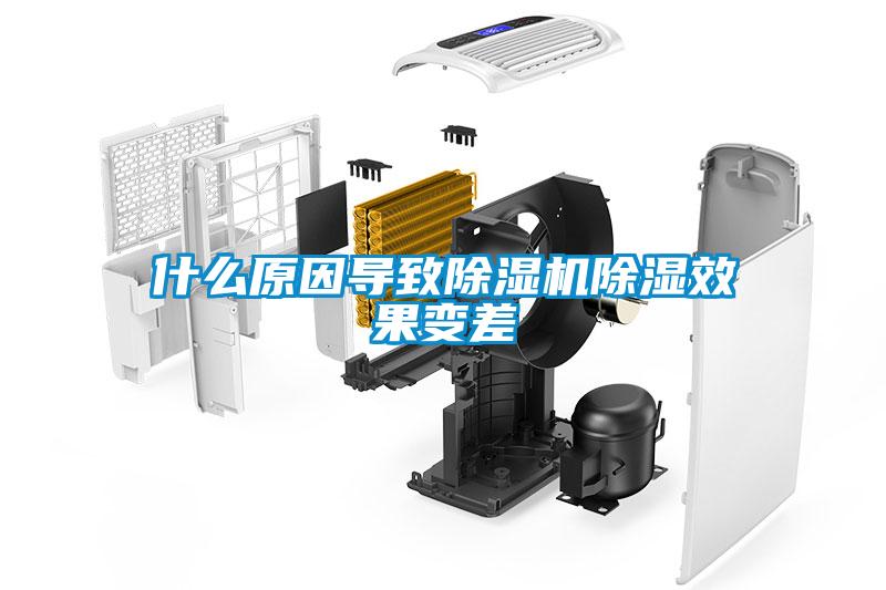 什么原因导致91抖音免费看片除湿效果变差