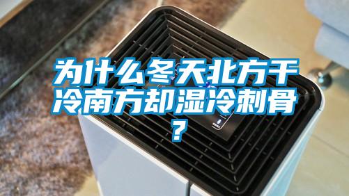 为什么冬天北方干冷南方却湿冷刺骨？