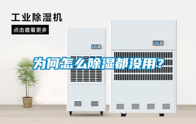 为何怎么除湿都没用？