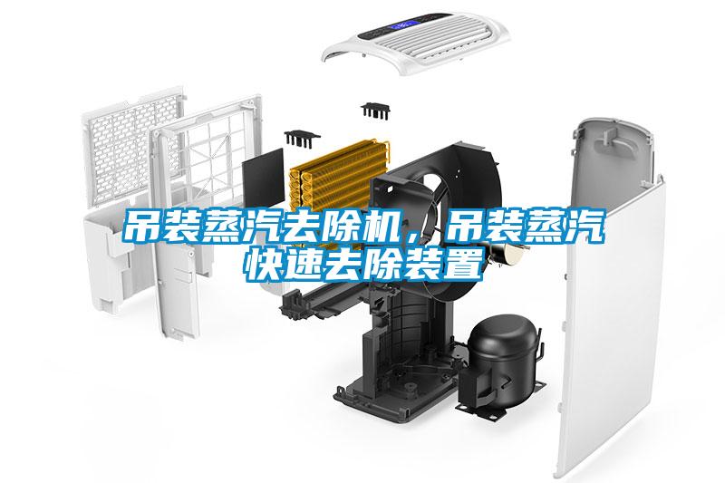 吊装蒸汽去除机，吊装蒸汽快速去除装置