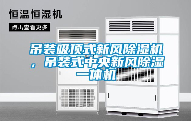 吊装吸顶式新风91抖音免费看片，吊装式中央新风除湿一体机