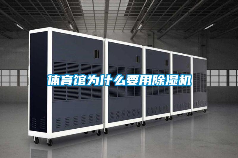 体育馆为什么要用91抖音免费看片