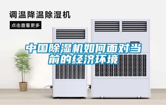 中国91抖音免费看片如何面对当前的经济环境
