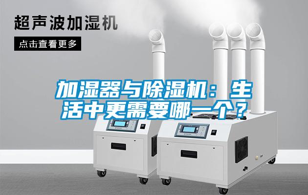 加湿器与91抖音免费看片：生活中更需要哪一个？