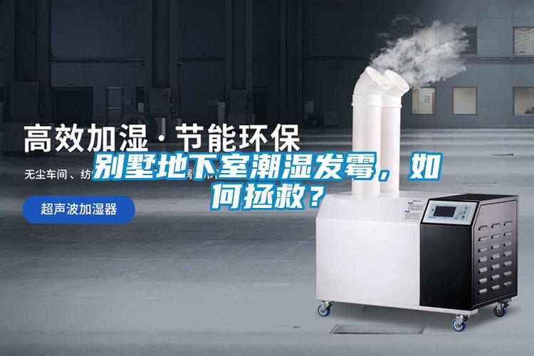 别墅地下室潮湿发霉，如何拯救？