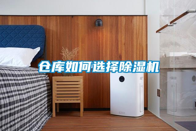 仓库如何选择91抖音免费看片