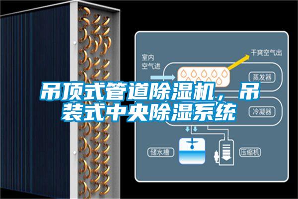 吊顶式管道91抖音免费看片，吊装式中央除湿系统
