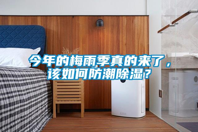 今年的梅雨季真的来了，该如何防潮除湿？