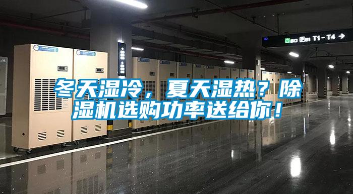 冬天湿冷，夏天湿热？91抖音免费看片选购功率送给你！