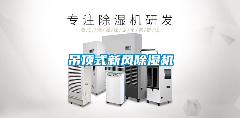吊顶式新风91抖音免费看片