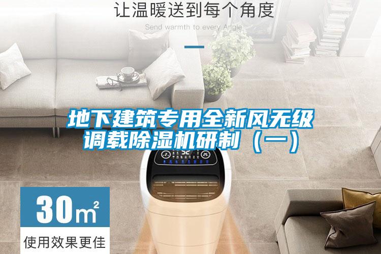 地下建筑专用全新风无级调载91抖音免费看片研制（一）