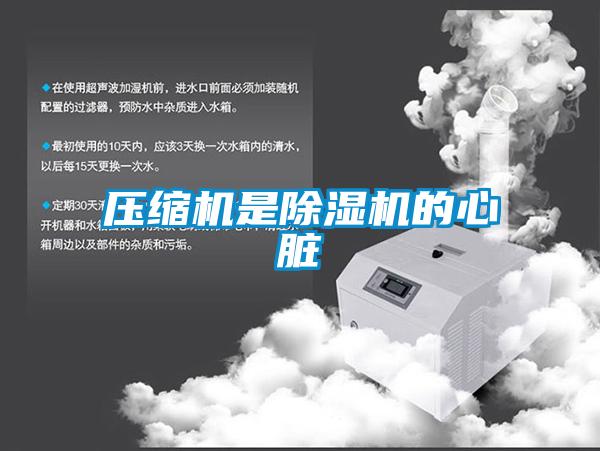 压缩机是91抖音免费看片的心脏