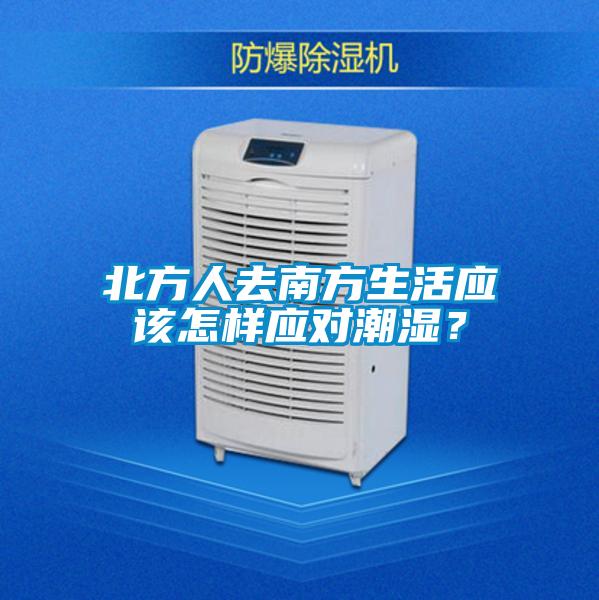 北方人去南方生活应该怎样应对潮湿？