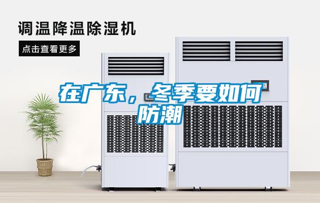 在广东，冬季要如何防潮