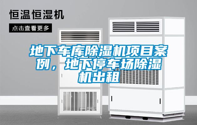 地下车库91抖音免费看片项目案例，地下停车场91抖音免费看片出租