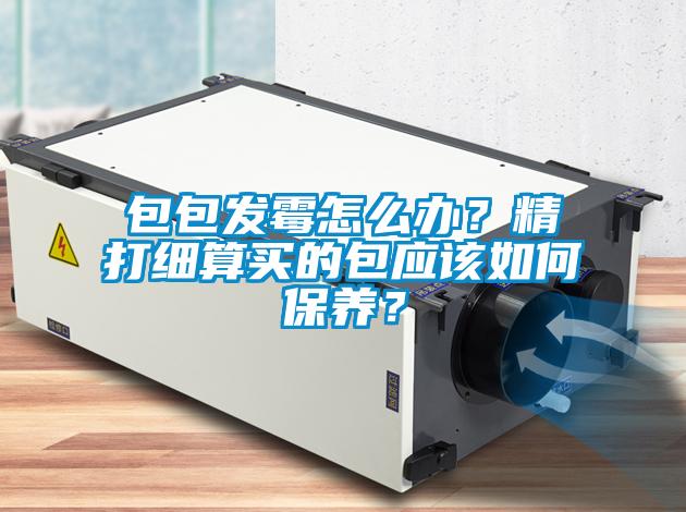 包包发霉怎么办？精打细算买的包应该如何保养？