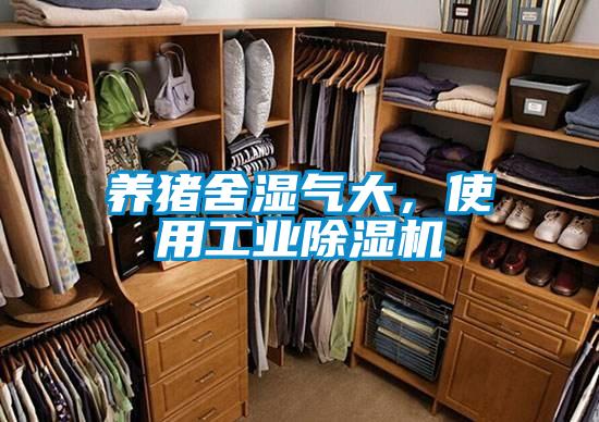 养猪舍湿气大，使用工业91抖音免费看片