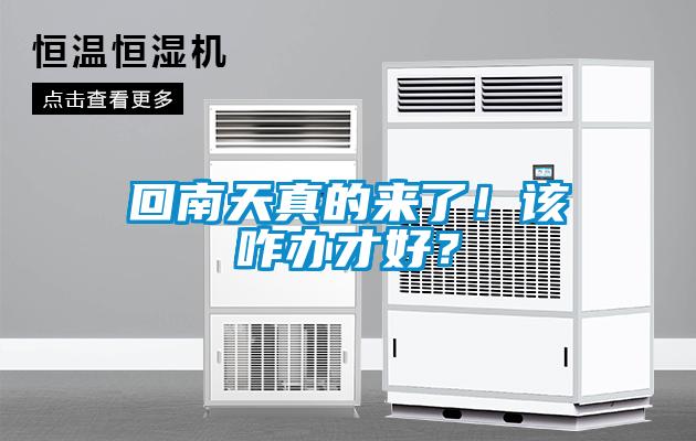 回南天真的来了！该咋办才好？