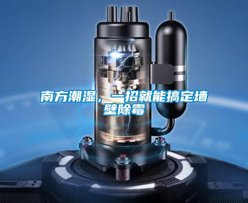南方潮湿，一招就能搞定墙壁除霉