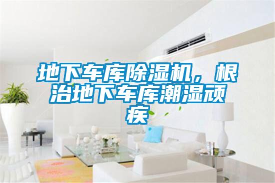 地下车库91抖音免费看片，根治地下车库潮湿顽疾