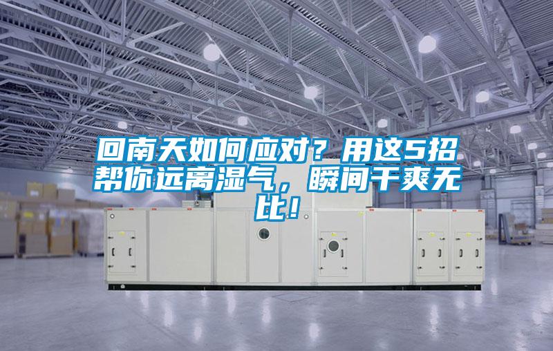 回南天如何应对？用这5招帮你远离湿气，瞬间干爽无比！
