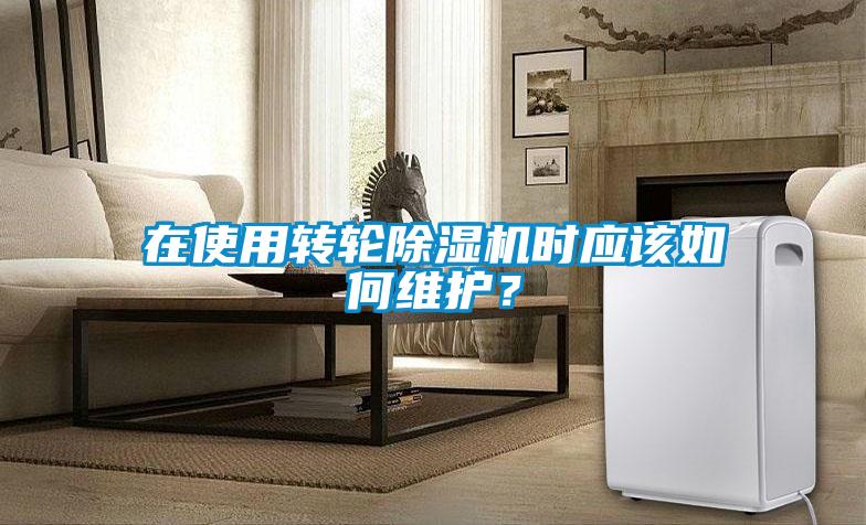 在使用转轮91抖音免费看片时应该如何维护？