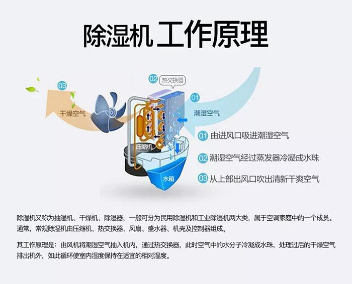 成人抖音在线下载91抖音免费看片厂家