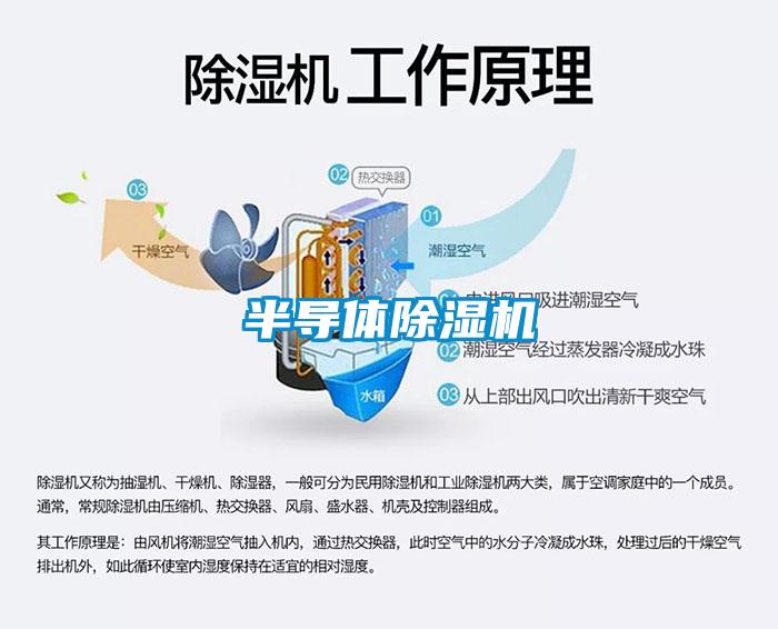 半导体91抖音免费看片