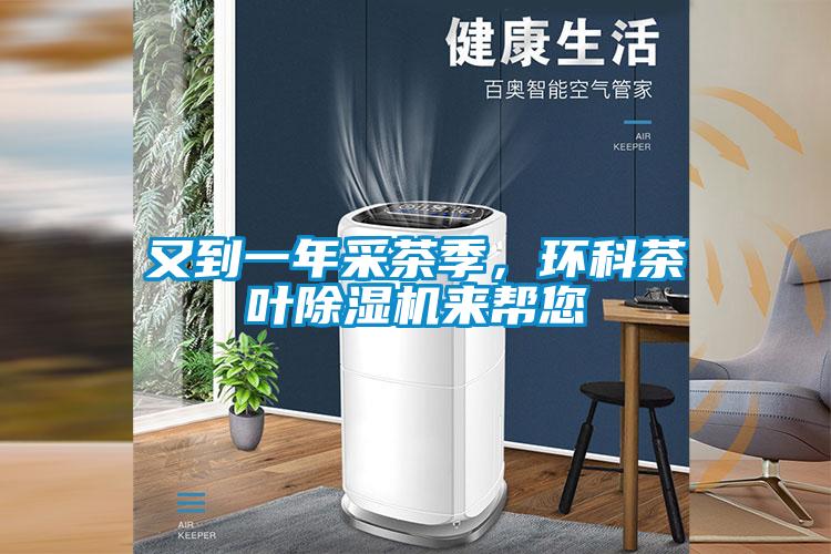 又到一年采茶季，环科茶叶91抖音免费看片来帮您