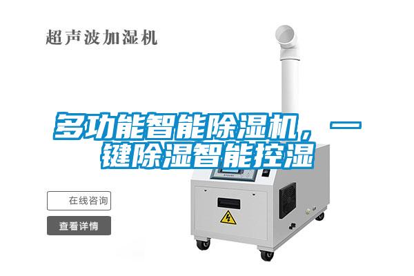 多功能智能91抖音免费看片，一键除湿智能控湿