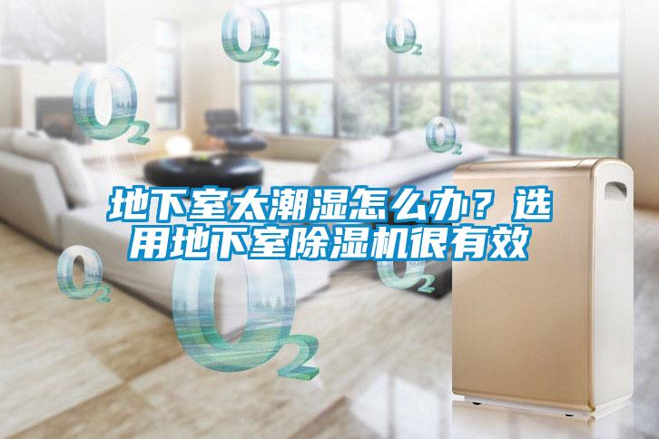 地下室太潮湿怎么办？选用地下室91抖音免费看片很有效