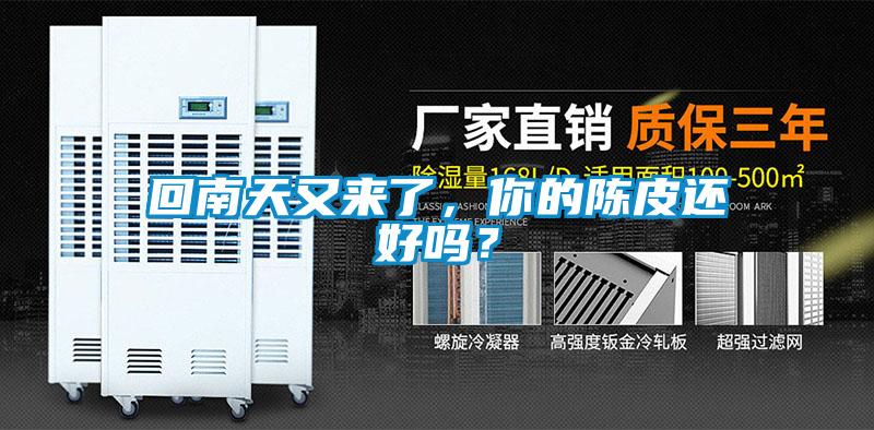 回南天又来了，你的陈皮还好吗？